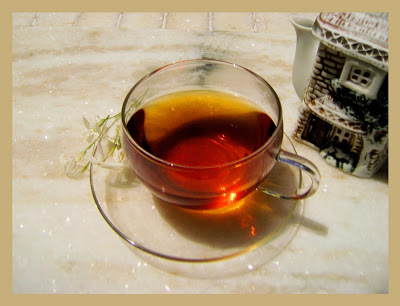 A Gentleman to the “T”